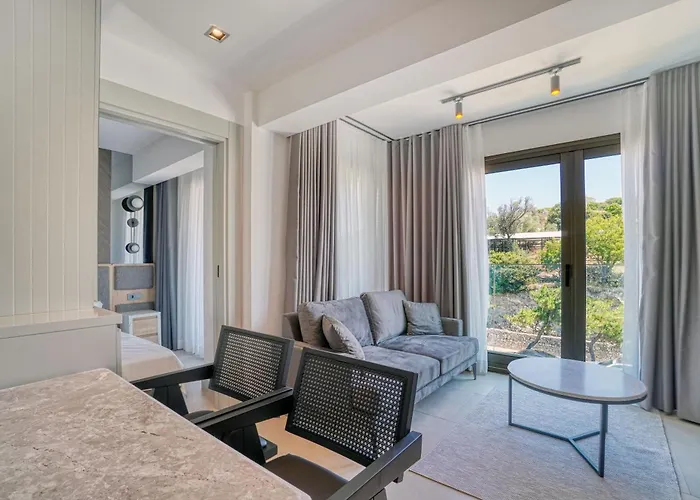 Ayayorgi Homes 3* Кешме